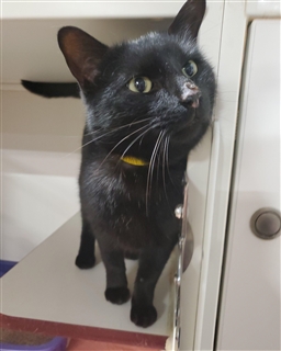 Nike Phantom Vsn Academy Df Ic Mens Ao3267 600 Size 6.5